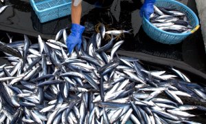 画像3: あごだし粉末　８0ｇ島根 隠岐の島産 無添加  お吸い物 ・だし巻き卵・ 焼きそば・漬け物に 