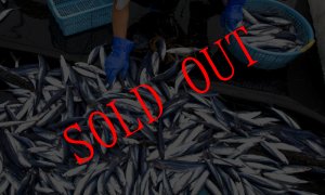 画像3: あごだし２００ｇ 化学調味料 食塩 無添加　島根 隠岐の島 産 