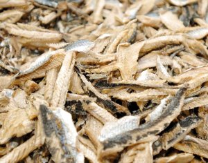 画像2: 【送料無料】あごだし500ｇ 化学調味料 食塩 無添加  隠岐の島産 