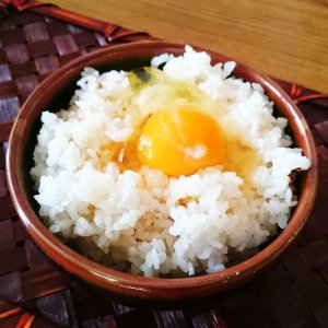 画像5: あごだし醤油５００ｍｌ５本セットお寿司、卵かけご飯、 天つゆ 、だし巻き卵 茶碗蒸し