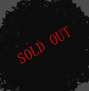 画像2: 【送料無料・ポスト投函】 カットわかめ ３０ｇ 2袋 貴重な国産 無添加     味噌汁 お吸い物 うどん ラーメン 水戻し後酢の物 に　　