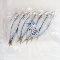 山陰沖 日本海産　まいわし一夜干し7尾  焼き物 唐揚げ 南蛮漬け てんぷら