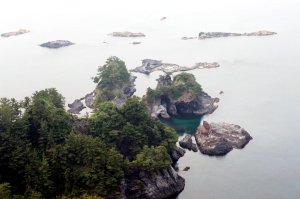 画像6: 【送料無料・ポスト投函】あらめっこ５０ｇ２袋セット しそ風味 ・国産わかめ・隠岐あらめ を使ったふりかけソフトタイプ