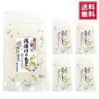 【送料無料】浅漬けの素 200ｇ ５袋  粉末タイプ 切って混ぜるだけ   塩焼きそば チャーハン
