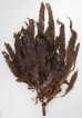 画像3: 隠岐あらめ（巾広）３０g 貴重な隠岐あらめです。乾燥 隠岐の島 煮物　かき揚げ 和え物 パスタ (3)