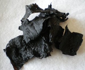 画像2: 隠岐あらめ（巾広）３０g 貴重な隠岐あらめです。乾燥 隠岐の島 煮物　かき揚げ 和え物 パスタ
