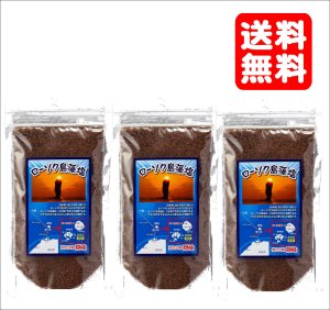画像1: 【送料無料・ポスト投函】ローソク島  藻塩 １００ｇ ３袋   隠岐の島産 天ぷら塩・おにぎり