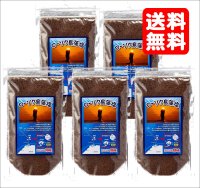 【送料無料・ポスト投函】ローソク島  藻塩 １００ｇ5袋   隠岐の島産 天ぷら塩・おにぎり