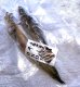 画像2: 山陰沖 日本海産　干しはたはた ２尾  焼き物 唐揚げ 南蛮漬け  (2)