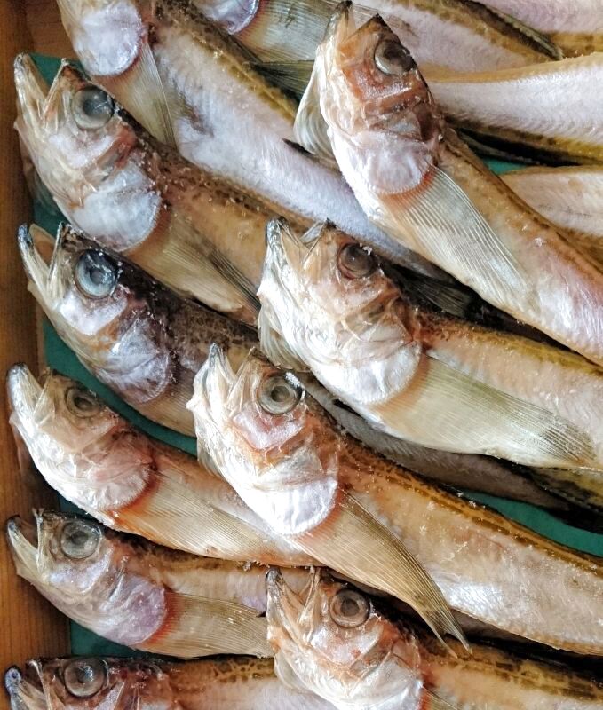 島根県産 はたはた一夜干し