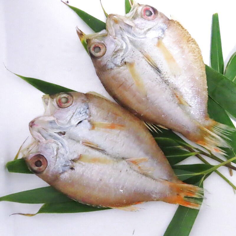 島根県産 のどぐろ開き 2尾