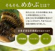 画像8: 【送料無料】めかぶ茶6０ｇ ５袋 約１00杯分   めかぶ茶を独自のブレンドで飲みやすく味付け。お湯を注ぐだけで簡単に食物繊維・フコイダンを含む健康茶
