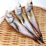 画像: はたはた丸干し特大３尾  焼き物 唐揚げ  鍋物　山陰沖 日本海産