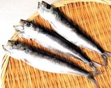 画像: 山陰沖 日本海産　まいわし一夜干し（特大）3尾  焼き物  揚げ物