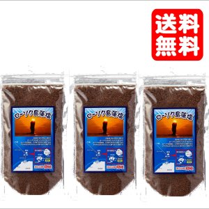 画像: 【送料無料・ポスト投函】ローソク島 藻塩 100g 3袋 隠岐の島産 天ぷら塩・おにぎり