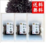 画像:   10%OFF　隠岐の島産 カットわかめ １５ｇ ３袋 味彩海道 送料無料・ポスト投函 無添加     味噌汁 お吸い物 うどん ラーメン 水戻し後酢の物 に　　